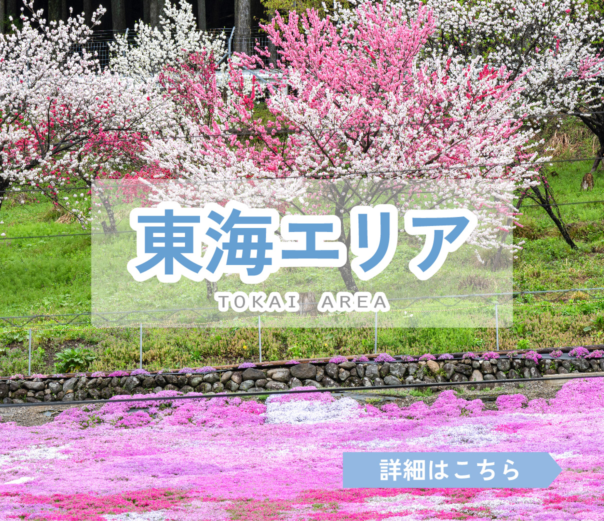 東海エリア